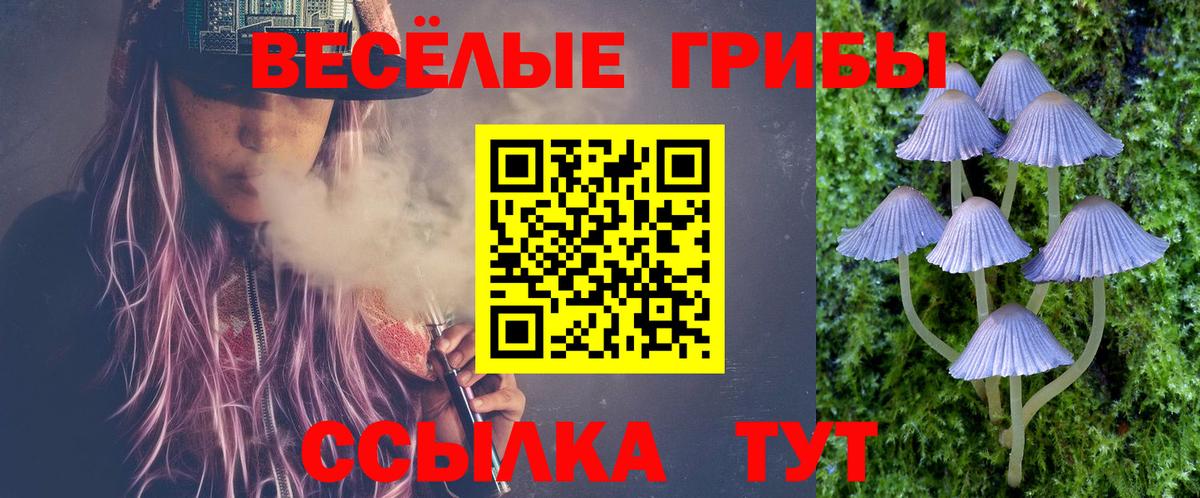 Галлюциногенные грибы MAGIC MUSHROOMS Сосновоборск